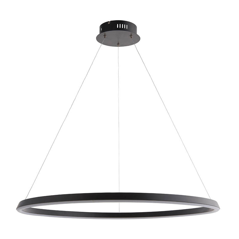 Close-up of the Staten LED Hoop Pendant ceiling plate and fittings