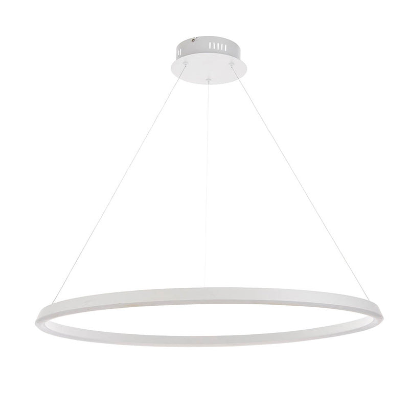 Close-up of the Staten LED Hoop Pendant ceiling plate and fittings